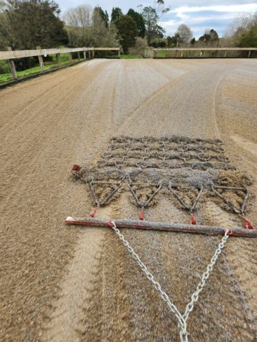 REDBACK Arena Rake Groomer photo review