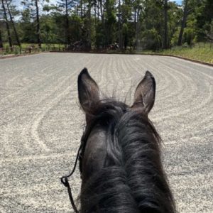 REDBACK Arena Rake Groomer | Redback Agri New Zealand