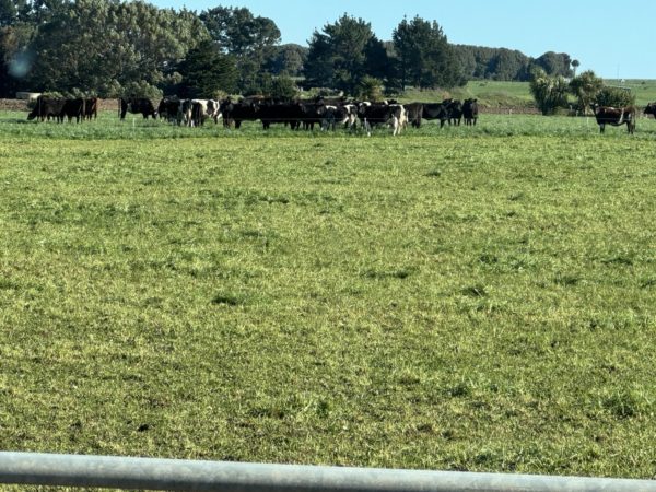 Noel Ardern Famer - Event Voucher Winner Photos 2