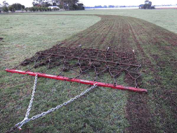 Redback Harrows On pasture