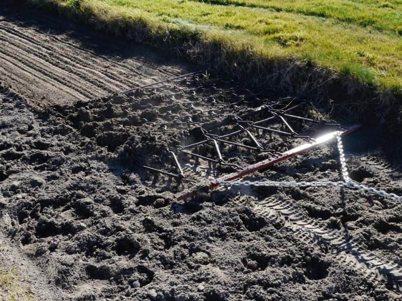 REDBACK Arena Rake Groomer | Redback Agri - Farm Machinery Australia